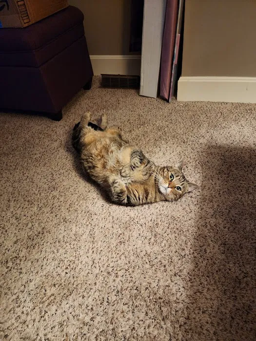 Warrensburg Animal Hospital Picture 10