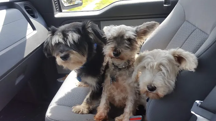 Warrensburg Animal Hospital Picture 9