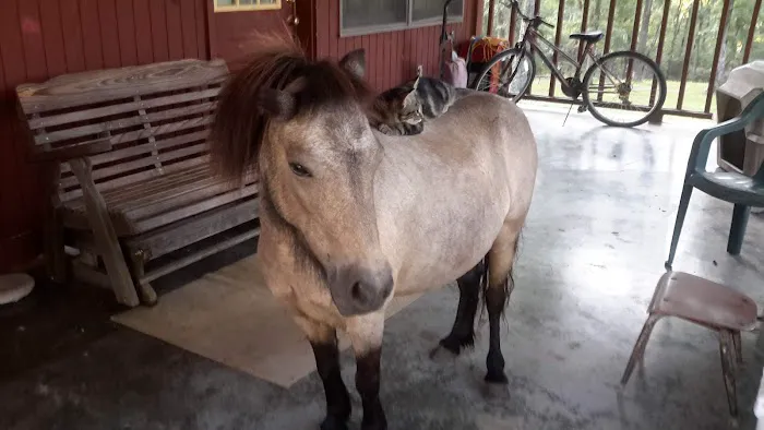 H & E West Mo Veterinary Clinic Picture 3