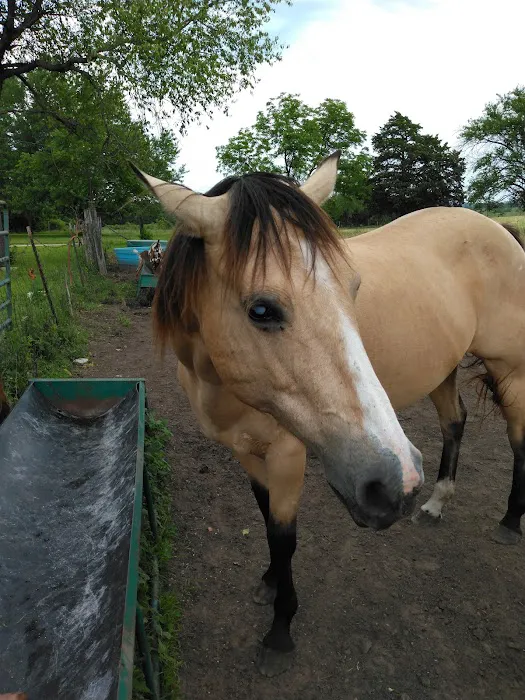 H & E West Mo Veterinary Clinic Picture 6