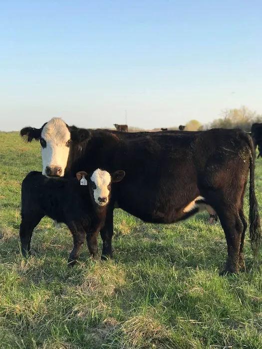 H & E West Mo Veterinary Clinic Picture 10