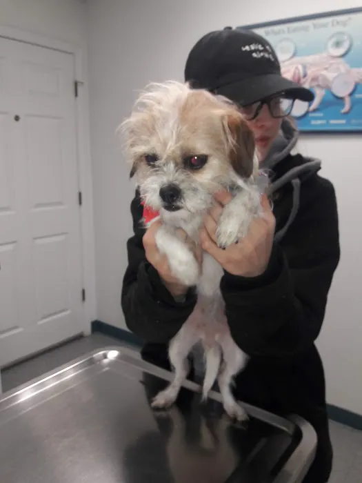 Holden Animal Clinic & Supply, Inc. Picture 1