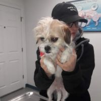 Holden Animal Clinic & Supply, Inc. ico