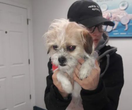 Holden Animal Clinic & Supply, Inc.