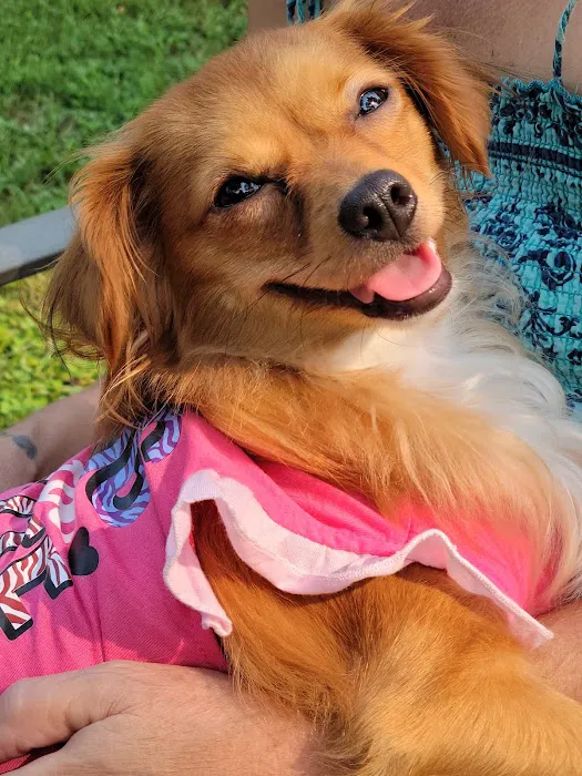 Holden Animal Clinic & Supply, Inc. Picture 5