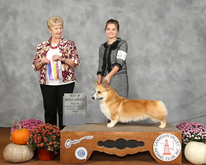 Holden Animal Clinic & Supply, Inc. Picture 7