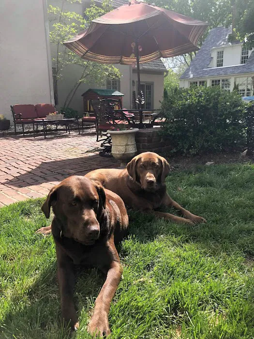 Holden Animal Clinic & Supply, Inc. Picture 10