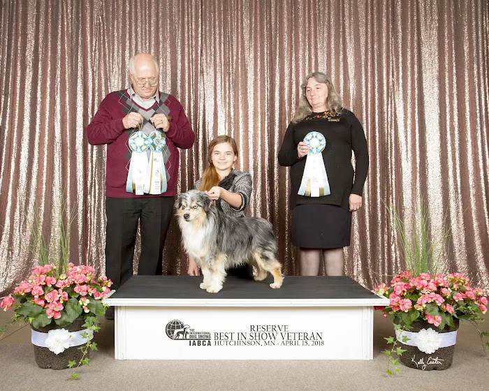 Holden Animal Clinic & Supply, Inc. Picture 9