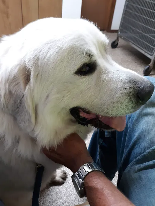 Lake Veterinary Clinic Picture 4