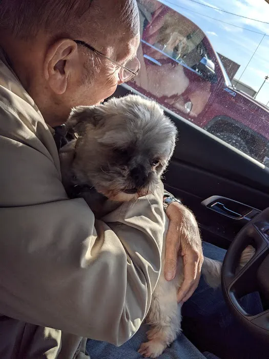 Lake Veterinary Clinic Picture 2