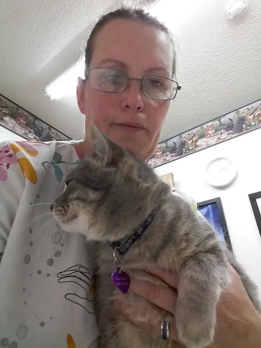 Lake Veterinary Clinic Picture 3