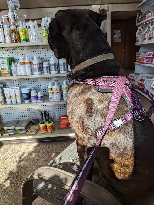 Lake Veterinary Clinic Picture 1