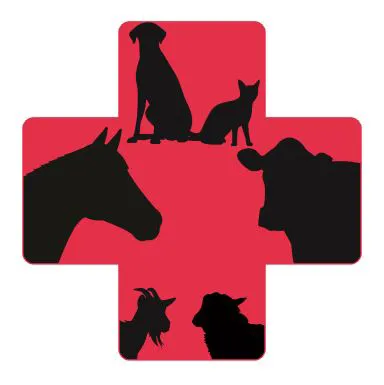 East River Veterinary Clinic Picture 2