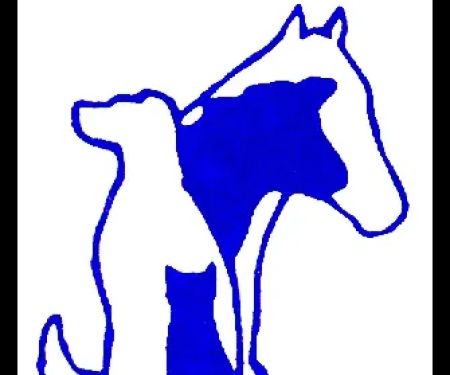 Countryside Veterinary Clinic