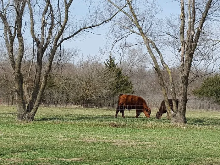 Fairbury Animal Clinic Picture 3