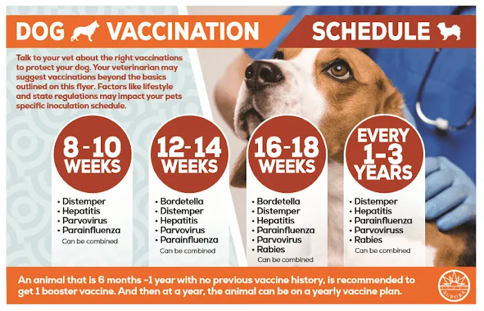 Garner Pawsitive Preventive Care Picture 10