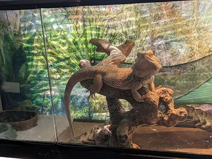 Kansas City Veterinary Care Picture 5