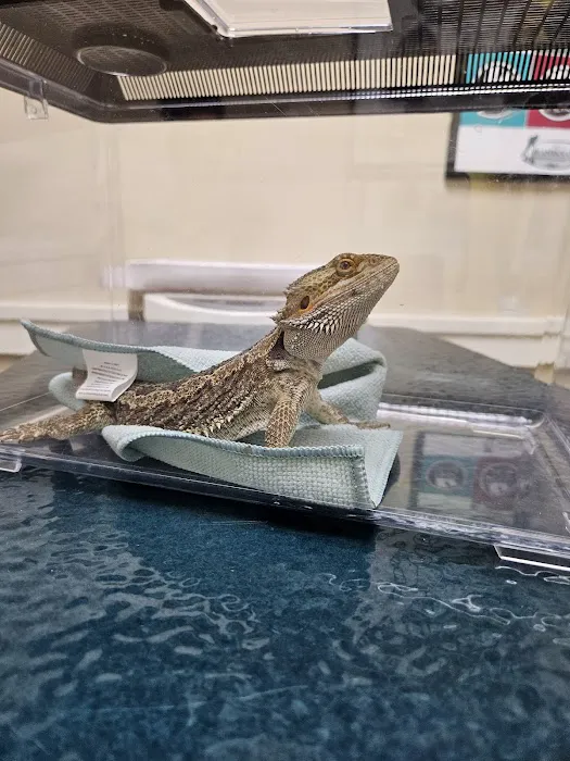 Kansas City Veterinary Care Picture 7