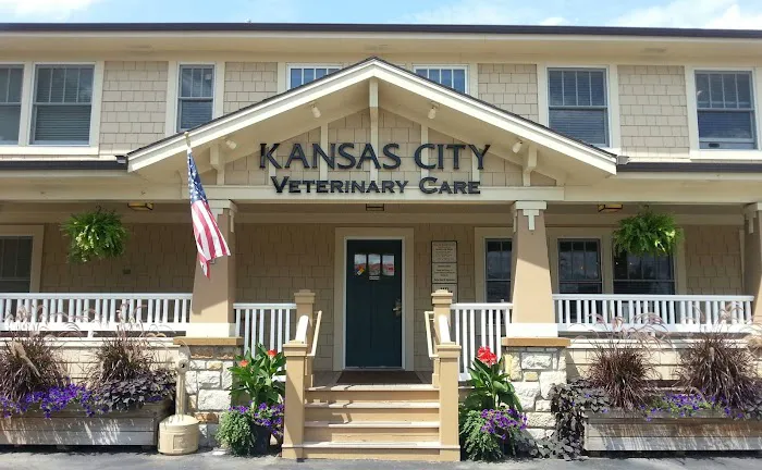 Kansas City Veterinary Care Picture 10