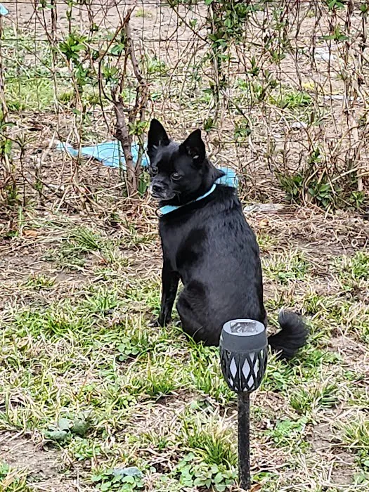 Animal Medical Center Of Kansas City Picture 1