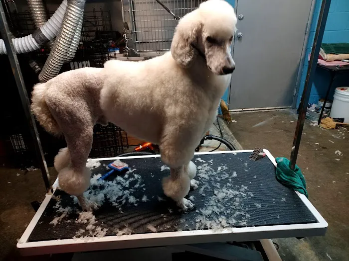 Animal Medical Center Of Kansas City Picture 6