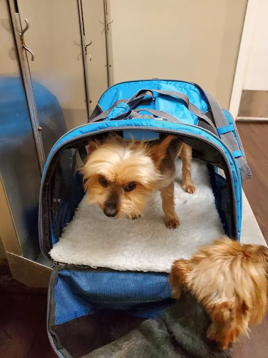 Animal Medical Center Of Kansas City Picture 8