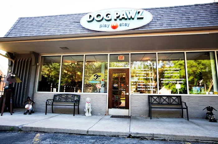 Dog Pawz Veterinary Center & Pet Resort Picture 8