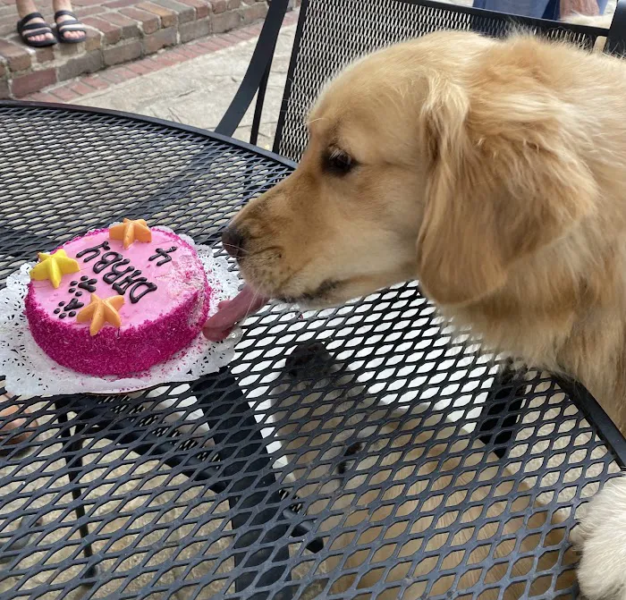 GoodVets Prairie Village Picture 3