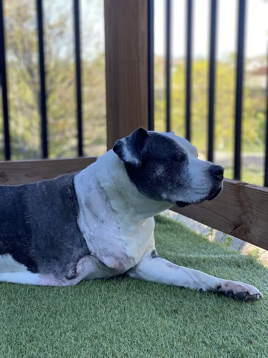 GoodVets Prairie Village Picture 2