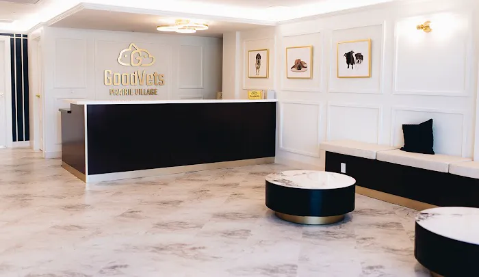 GoodVets Prairie Village Picture 8