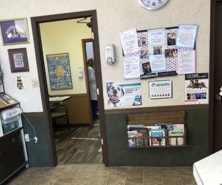 Quivira Road Animal Hospital: Dr. Luke Fry, DVM