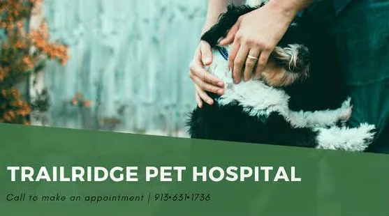Trailridge Pet Hospital LLC Picture 1