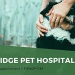 Trailridge Pet Hospital LLC