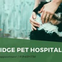 Trailridge Pet Hospital LLC ico