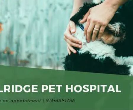 Trailridge Pet Hospital LLC
