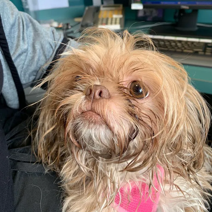 Trailridge Pet Hospital LLC Picture 5