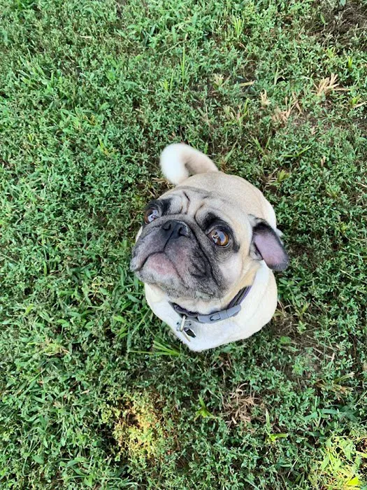 Trailridge Pet Hospital LLC Picture 9