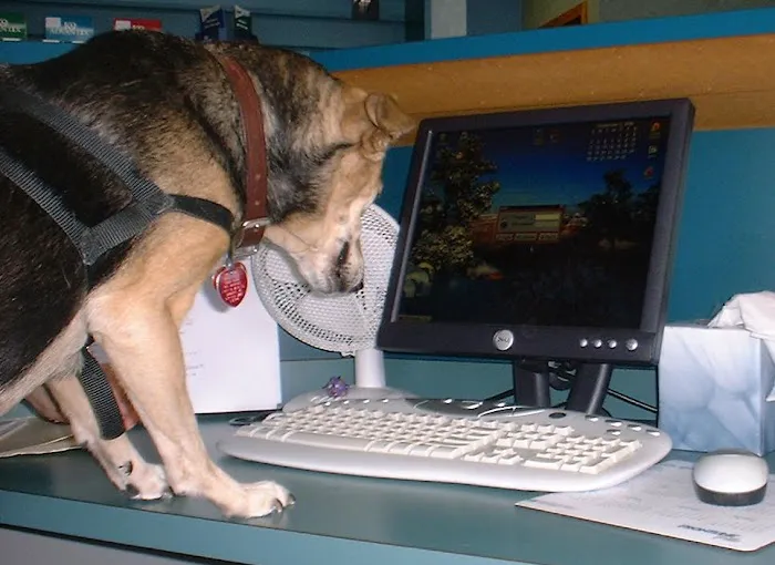 Trailridge Pet Hospital LLC Picture 8