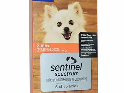 Quivira Road Animal Clinic Picture 4