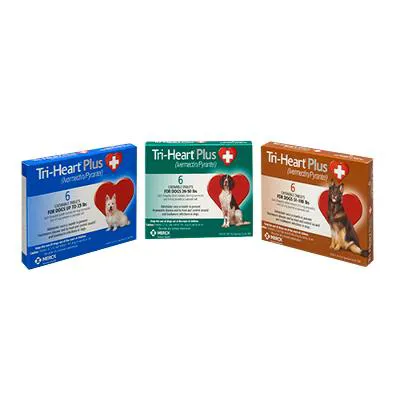 Quivira Road Animal Clinic Picture 6