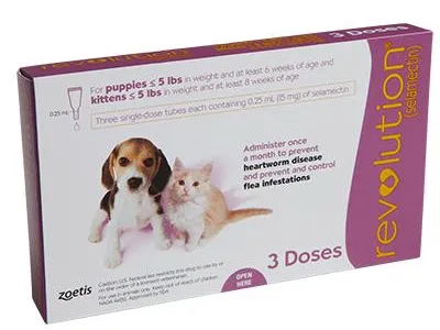 Quivira Road Animal Clinic Picture 9