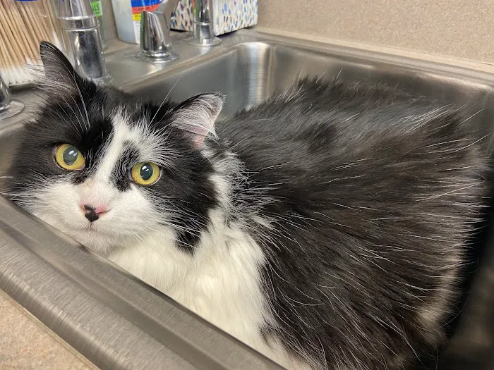 Johnson County Animal Clinic Picture 2