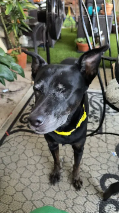 Johnson County Animal Clinic Picture 4