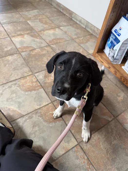 Johnson County Animal Clinic Picture 5