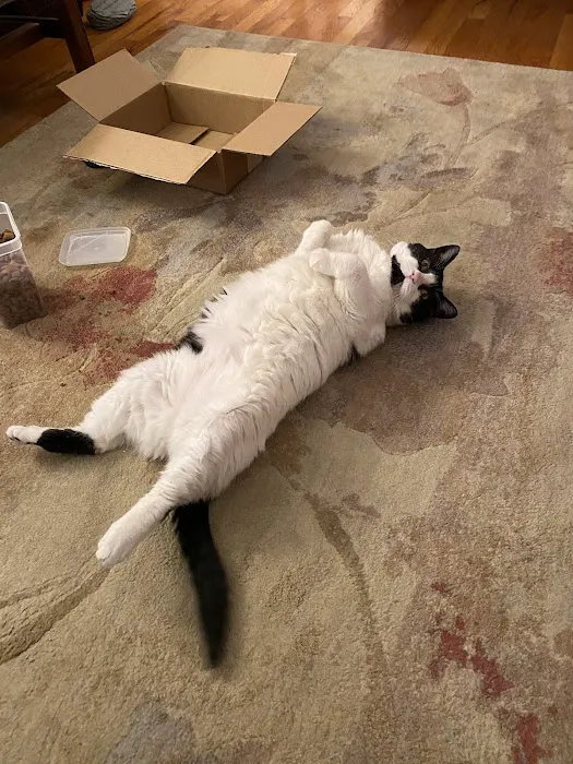 Johnson County Animal Clinic Picture 3