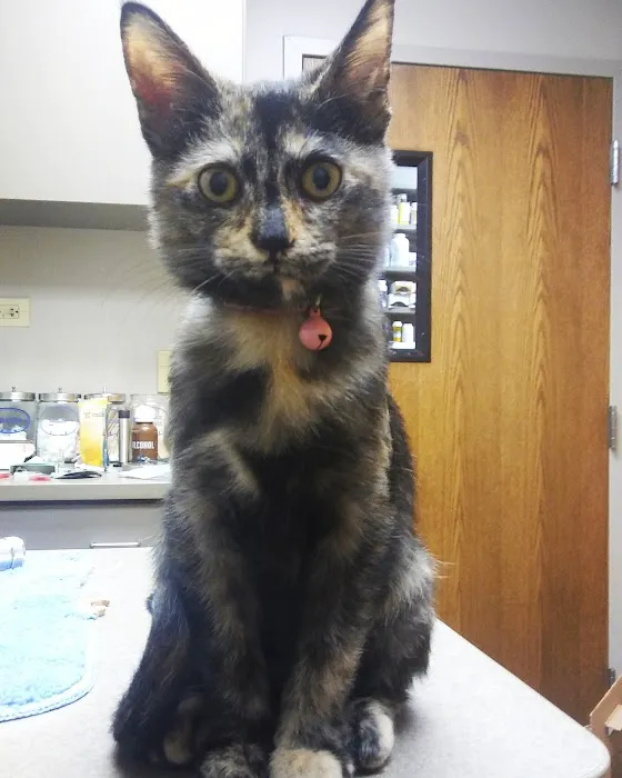 Johnson County Animal Clinic Picture 9