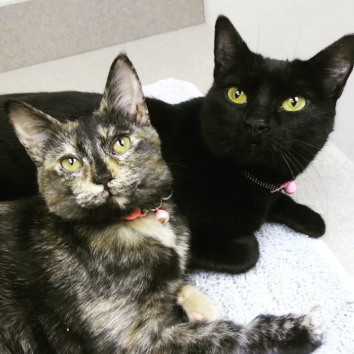 Johnson County Animal Clinic Picture 6