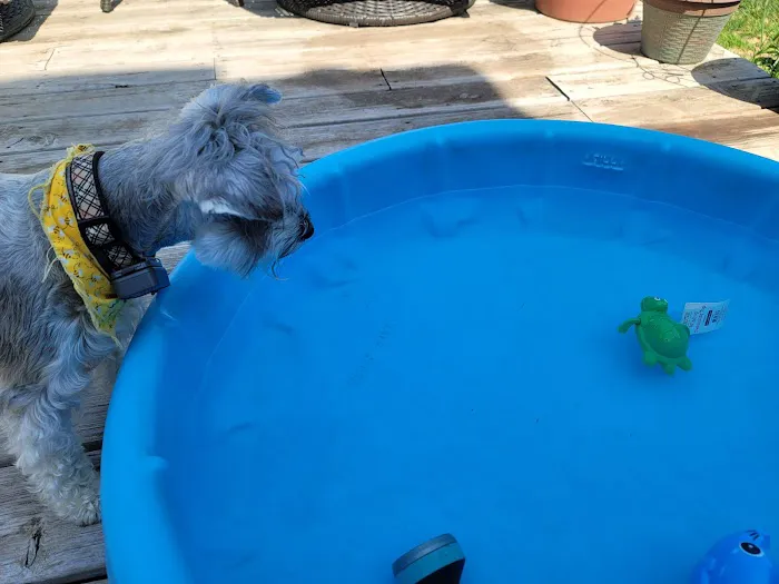 Keil Veterinary Ophthalmology Picture 3