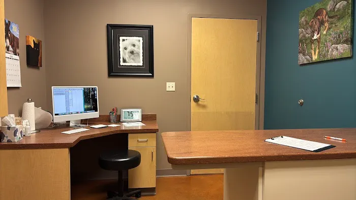 Keil Veterinary Ophthalmology Picture 6