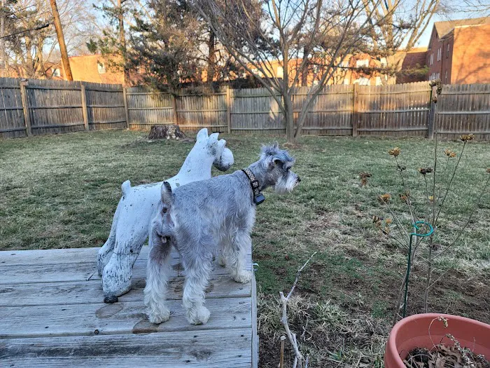 Keil Veterinary Ophthalmology Picture 5